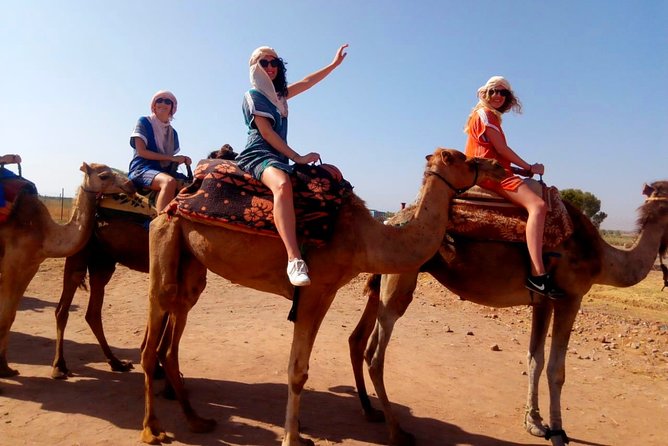 Marrakech Desert: Dinner Show with Quad Bike and Camel Ride - Pickup and Timing: Why the 5-Hour Estimate Can Stretch