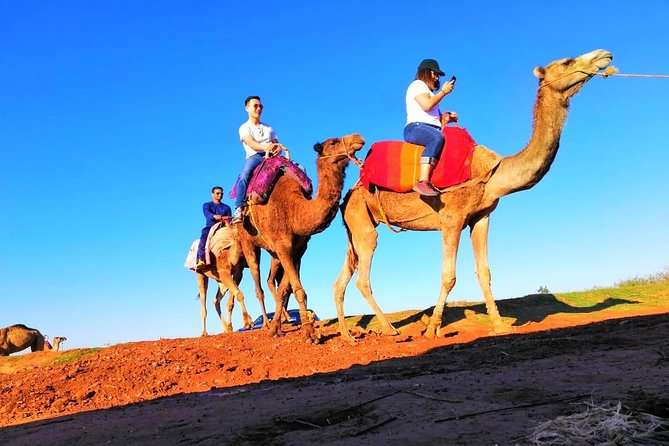 Marrakech Desert Dinner show with Quad bike at sunset - The Agafay sunset schedule: why the timing matters