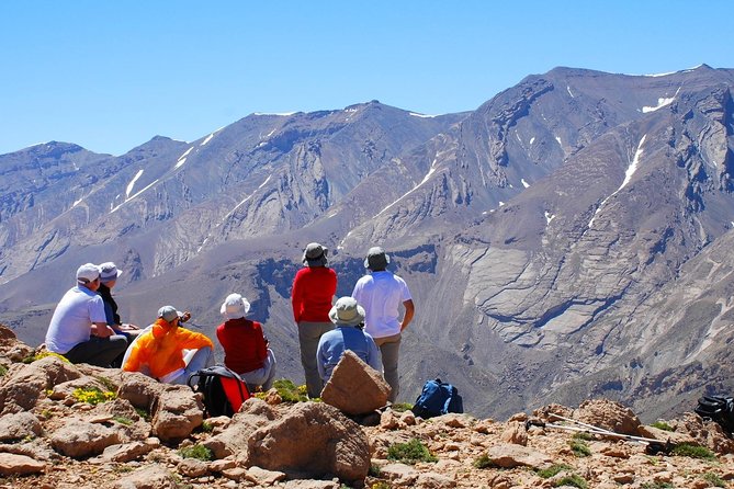 Marrakech Desert Quad and Camel ride, Lunch, and Poolside - Should You Book Art de Cuivre Travel’s Agafay Day Trip?
