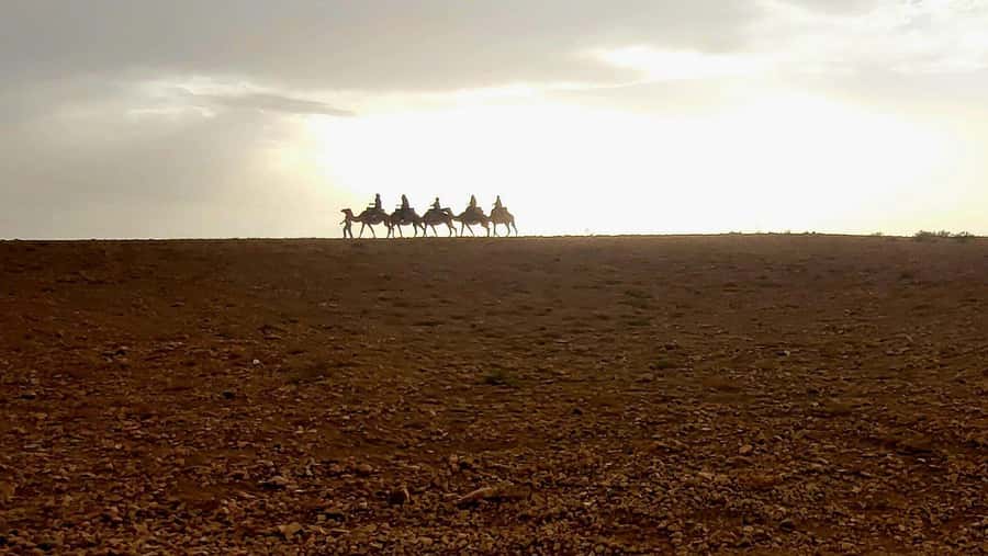Marrakech: Desert Quad Bike Tour with Tea & Optional Dinner - What to pack and wear for Agafay night chill