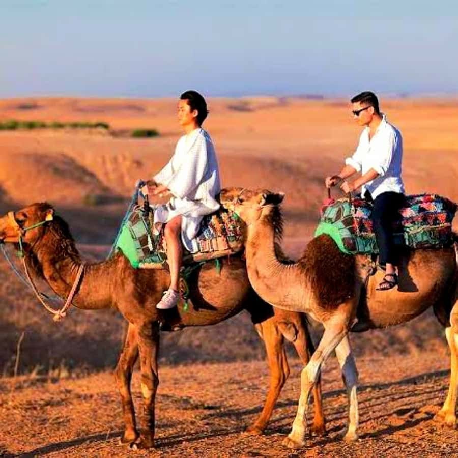 Marrakech: Dinner and Quad bike Desert Agafay Stars & show - Argan oil and mint tea: the practical Morocco stop