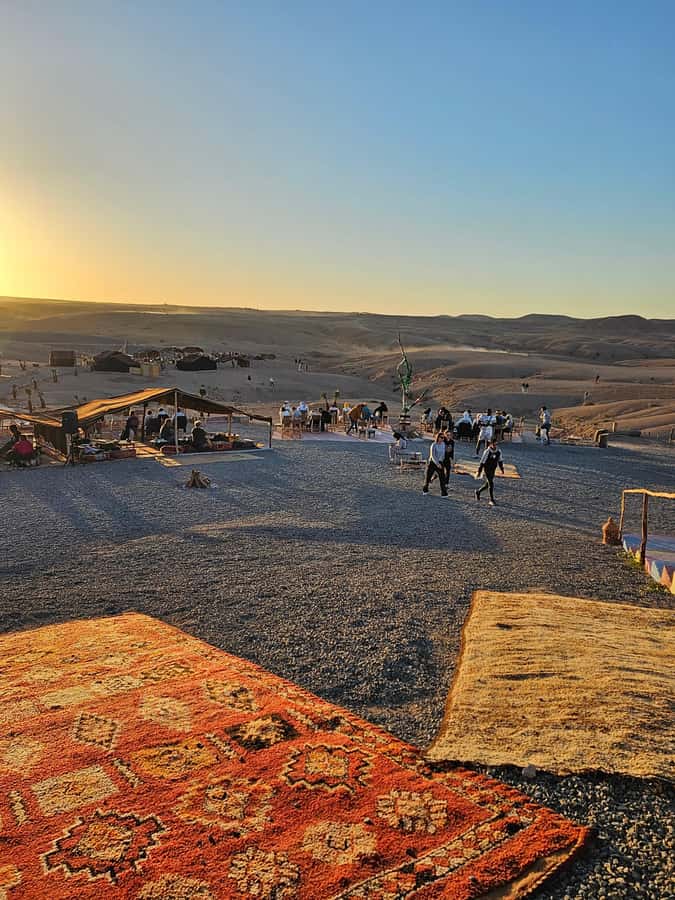 Marrakech: Dinner and Quad bike Desert Agafay Stars & show - Dinner under the stars: harira, tagine, couscous, and fruit