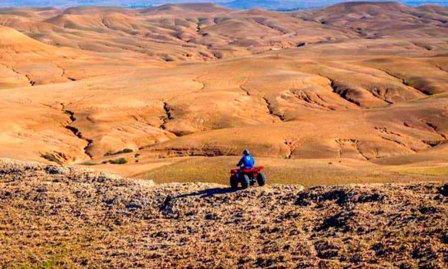 Marrakech: Dinner and Quad bike Desert Agafay Stars & show - Price and value at about $14: what you’re really buying