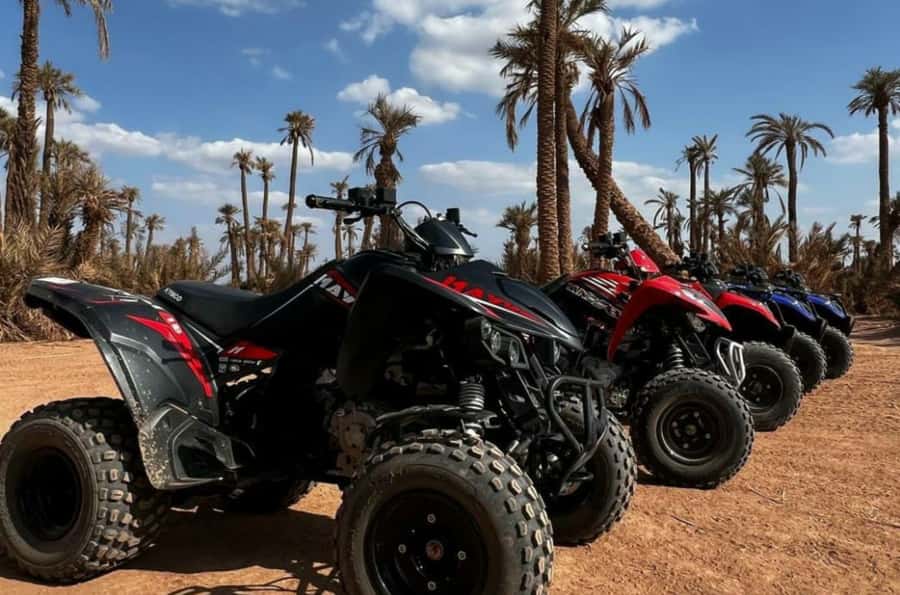 Marrakech: Dunes of the Palmeraie Quad Bike Ride with Tea - The Palmeraie photo stop: palms, dust, and a quick breather