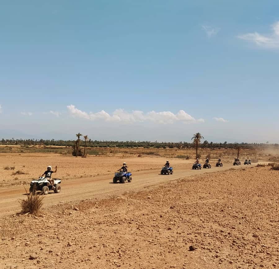Marrakech:excursion quad in Oasis palm & jbilat desert,tea - Why Palmeraie and Jbilat Dunes Feel Like Two Worlds