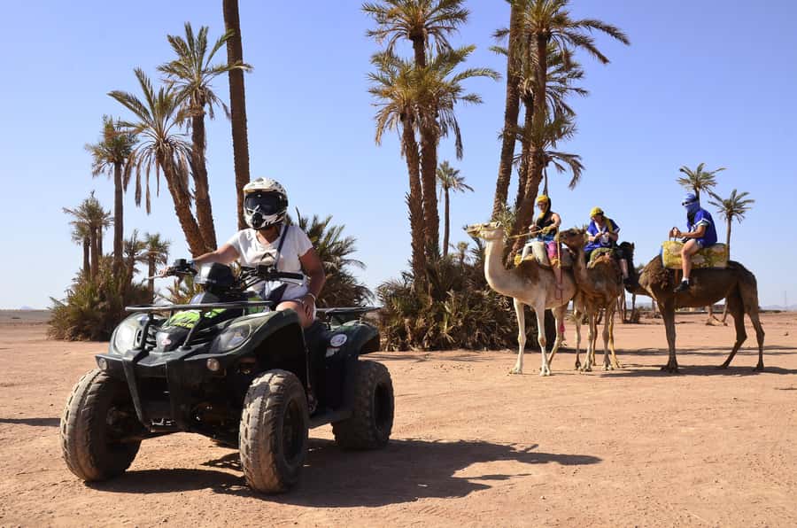Marrakech:excursion quad in Oasis palm & jbilat desert,tea - Tea Break, Dessert, and Berber Culture Stops That Actually Matter