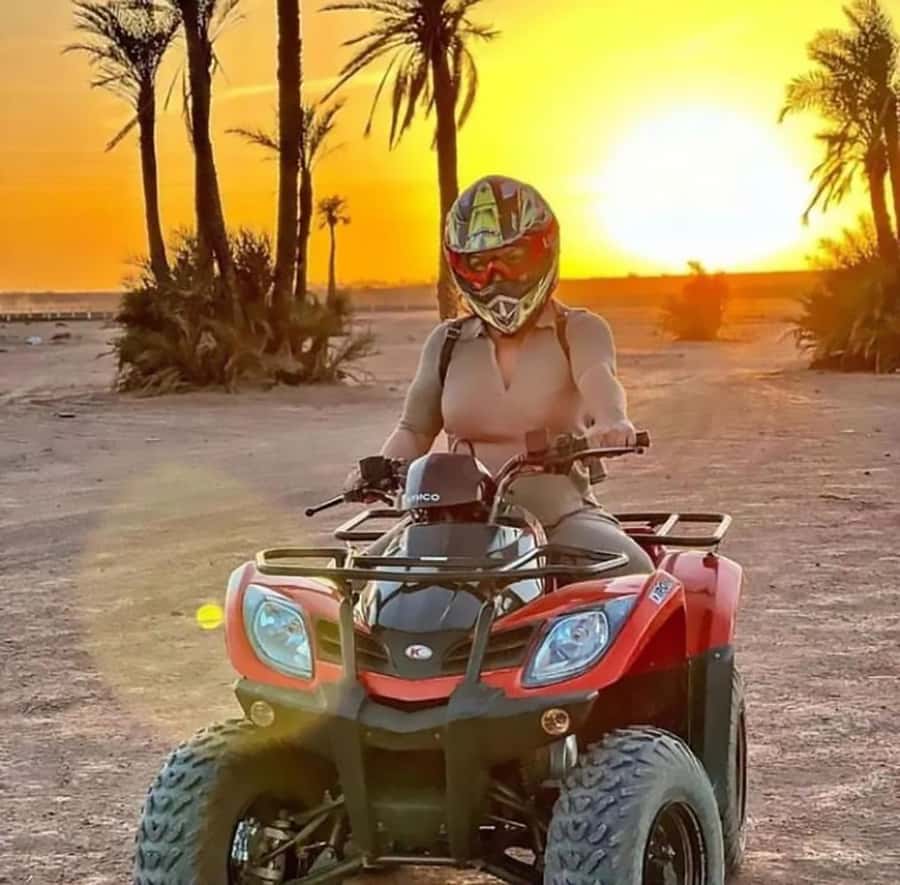 Marrakech, explore the palm grove desert by quad bike - Palm groves, dust, and your own quad: what you’re signing up for