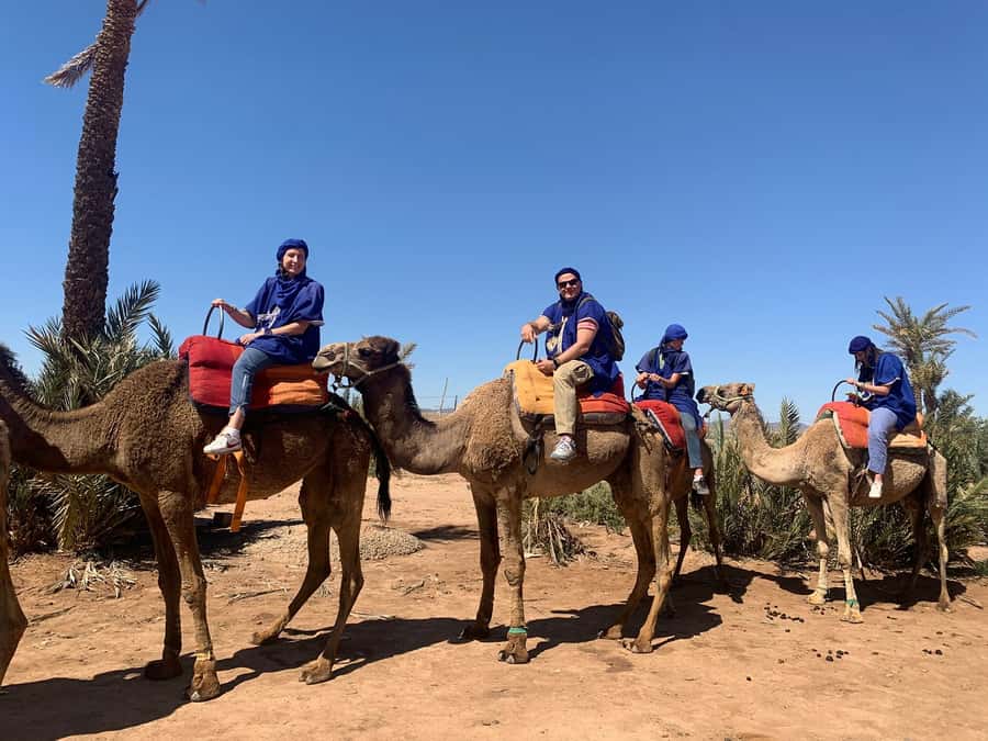 Marrakech: Guided Quad Bike and Camel Ride Tour with Tea - Why this Marrakech quad-and-camel combo is such good value