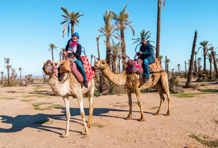 Marrakech: Half-Day Desert Quad Tour with Camel Ride - Quad biking: helmets, goggles, and 2 hours of desert speed