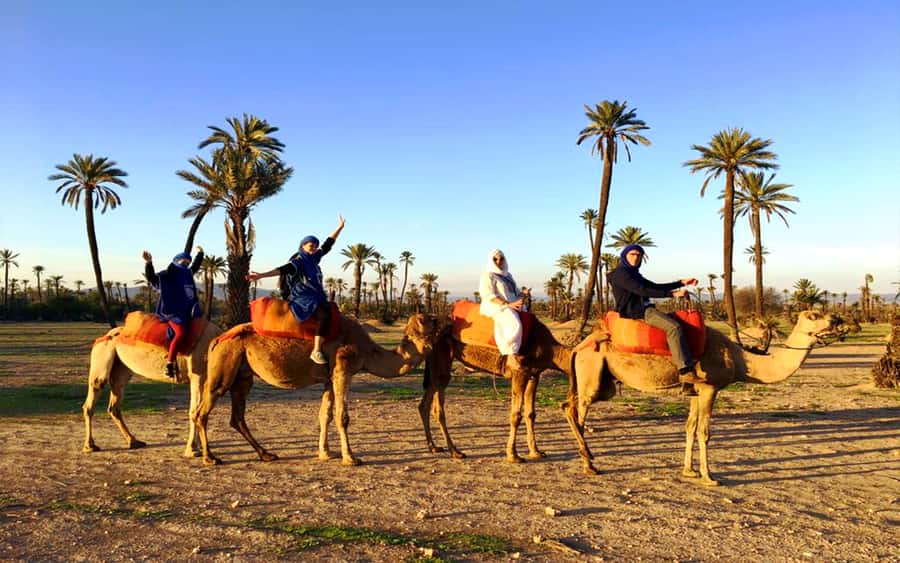 Marrakech: Half-day Dunes Trip With Buggy and Camel Ride - Key highlights to know before you go