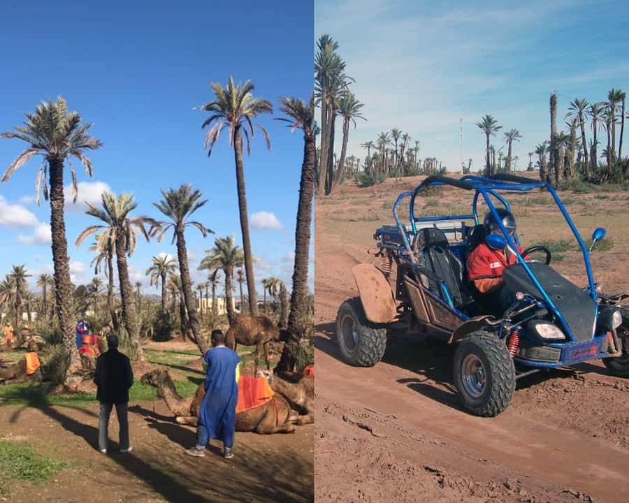 Marrakech: Half-day Dunes Trip With Buggy and Camel Ride - Marrakech Dunes in Four Hours: The Real Vibe