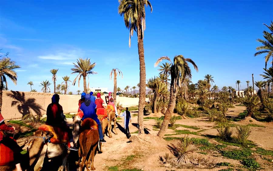 Marrakech: Half-day Dunes Trip With Buggy and Camel Ride - Refreshments, Wifi, and the Small Comforts That Matter