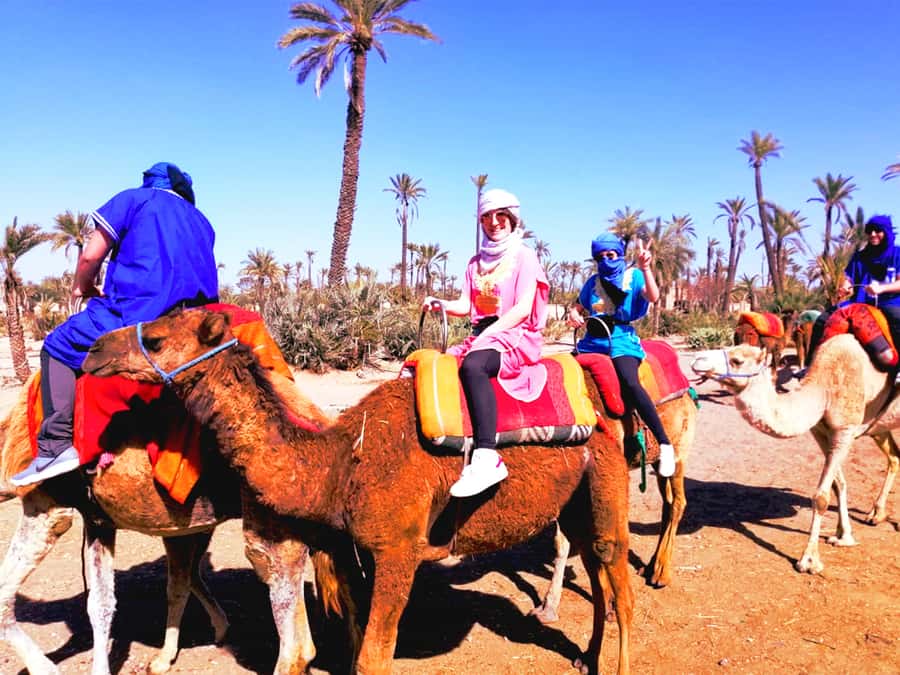 Marrakech: Half-day Dunes Trip With Buggy and Camel Ride - Getting From Marrakesh to the Berber Village (With Time to Orient)