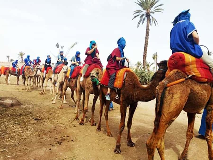 Marrakech: Half-Day Tour with Buggy Ride, Camel Ride and Spa - How This Marrakech Half-Day Stitches Together Adventure and Recovery