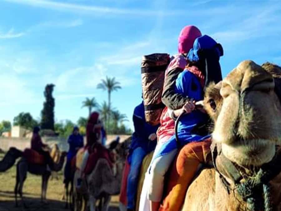 Marrakech: Half-Day Tour with Buggy Ride, Camel Ride and Spa - The Berber Village Coffee Stop: Culture That’s Not Just a Photo Break