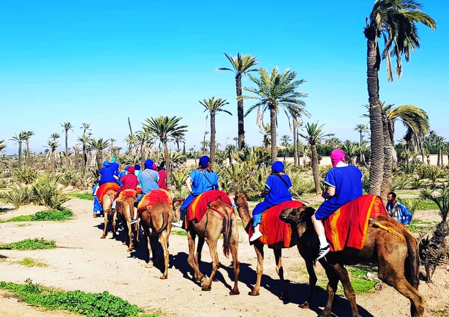 Marrakech: Half-Day Tour with Buggy Ride, Camel Ride and Spa - Camel Ride: A Nomad Feeling With a Few Reality Checks