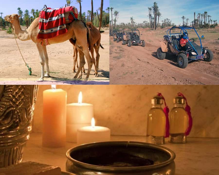Marrakech: Half-Day Tour with Buggy Ride, Camel Ride and Spa - Hotel Pickup, Vehicle Comfort, and the Reality of a 5-Hour Tour