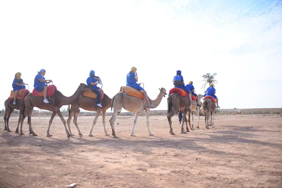 Marrakech: pack quad and camel ride in the palm grove - Quick hits before you go