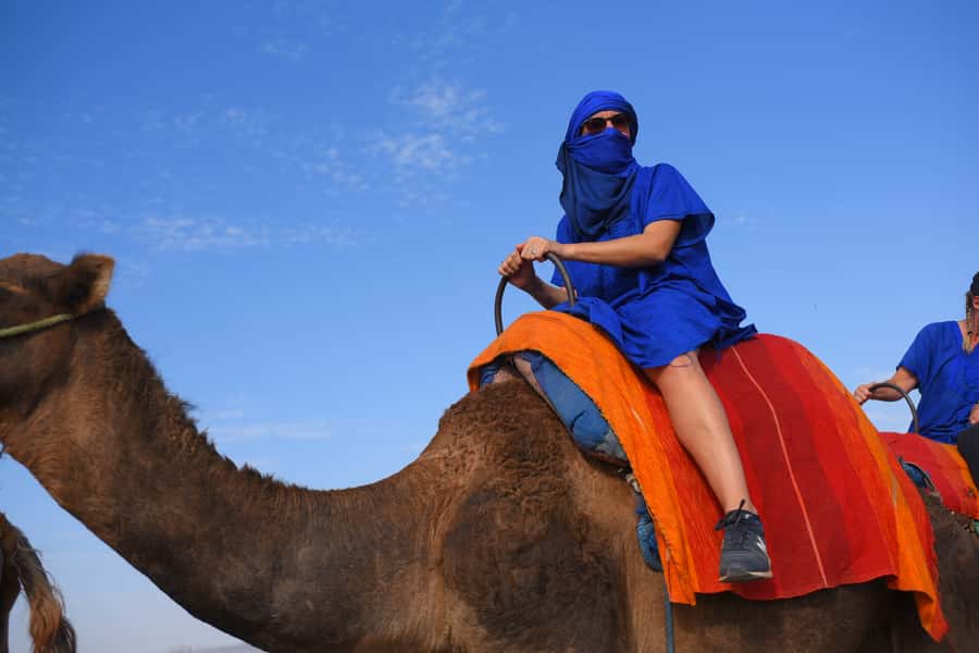 Marrakech: pack quad and camel ride in the palm grove - Marrakech Quad + Camel: Why This Half-Day Feels Just Right