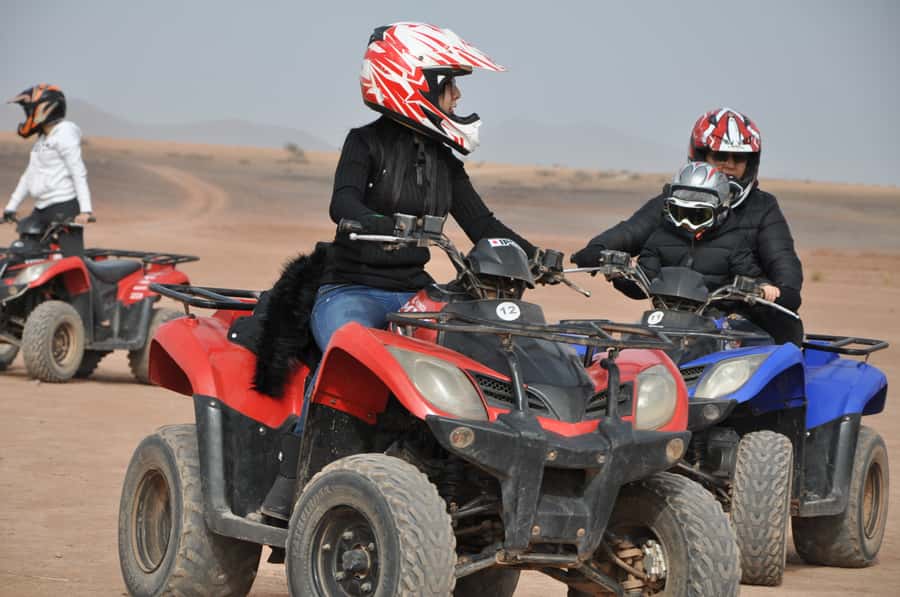 Marrakech: pack quad and camel ride in the palm grove - The Photo Stop and Palm Grove Moments