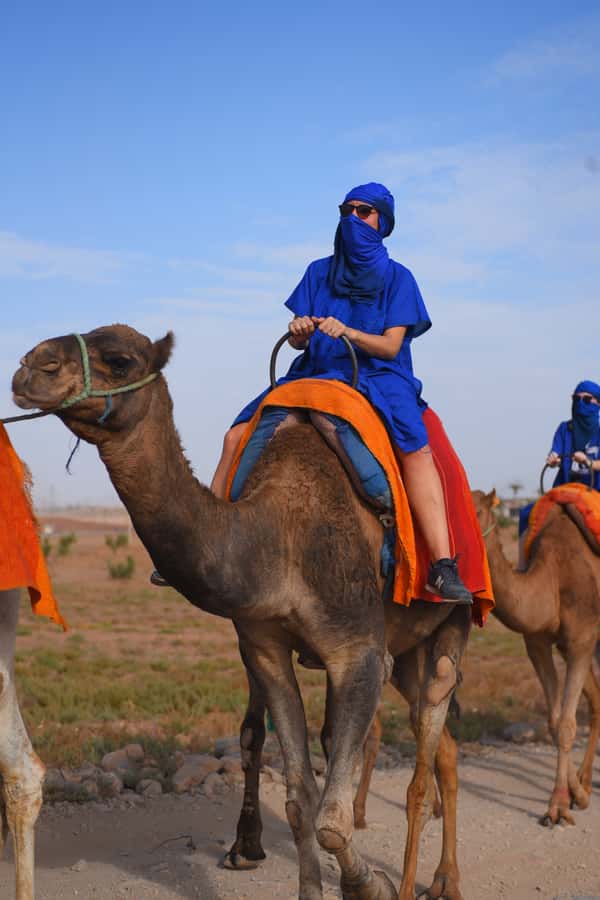 Marrakech: pack quad and camel ride in the palm grove - The Return to Marrakech: Why the Timing Feels Efficient