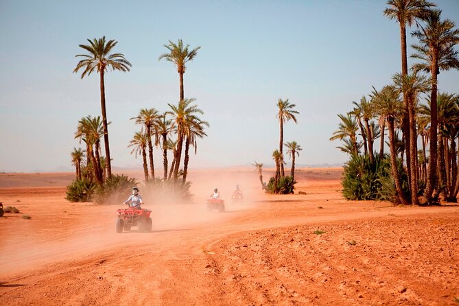 Marrakech Palm Grove 2-Hour Quad Biking Adventure. - The Mint Tea Stop: A Small Pause With Big Cultural Value