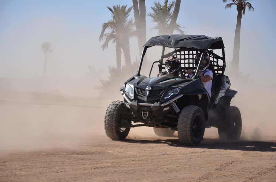 Marrakech: Palm Grove and Desert Buggy excursion - Price and Value: What $45 Really Buys You