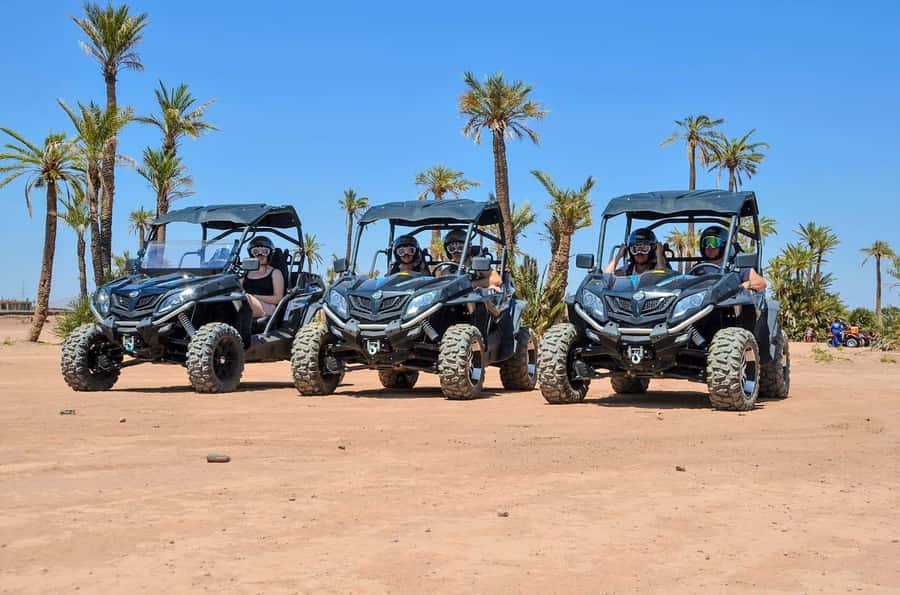 Marrakech: Palm Grove and Desert Buggy excursion - Who This Marrakech Buggy Trip Is Best For