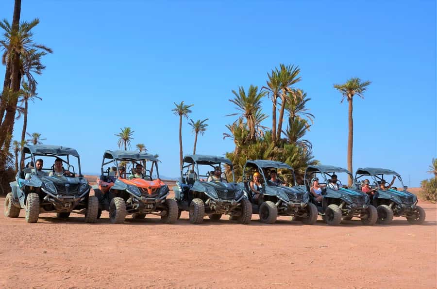 Marrakech: Palm Grove and Desert Buggy excursion - Who’s Running the Show: The Guide Factor