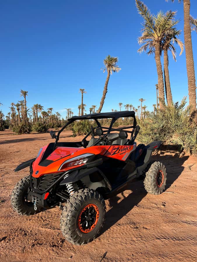 Marrakech : Palm Grove and jbilat Desert Buggy 1000cc Tour - Key Highlights Worth Your Time