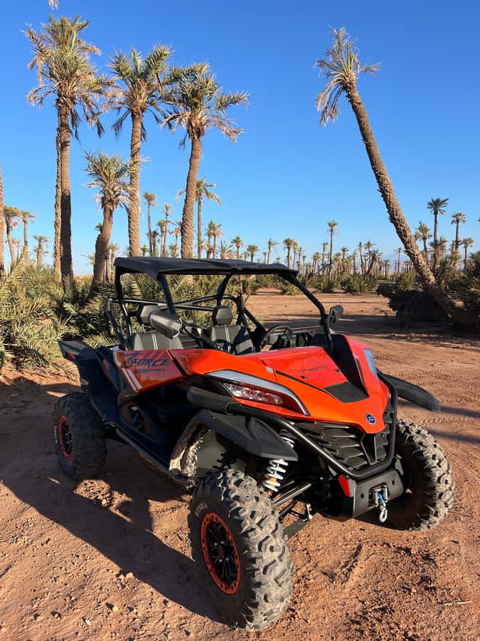 Marrakech : Palm Grove and jbilat Desert Buggy 1000cc Tour - Before You Go: Safety Rules, Gear, and How the Buggy Works
