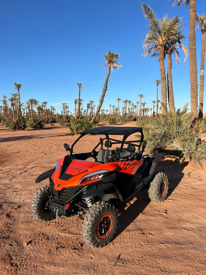 Marrakech : Palm Grove and jbilat Desert Buggy 1000cc Tour - The 2-Hour Buggy Ride: Rocky Desert Meets Palm Groves