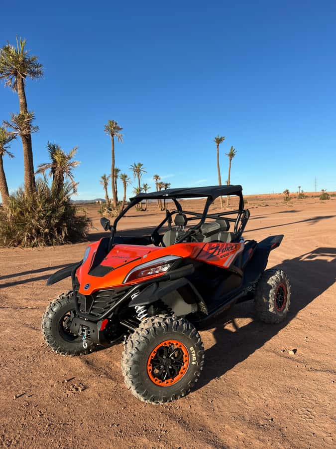Marrakech : Palm Grove and jbilat Desert Buggy 1000cc Tour - The Tea Break at the Villa: 15 Minutes That Actually Reset You