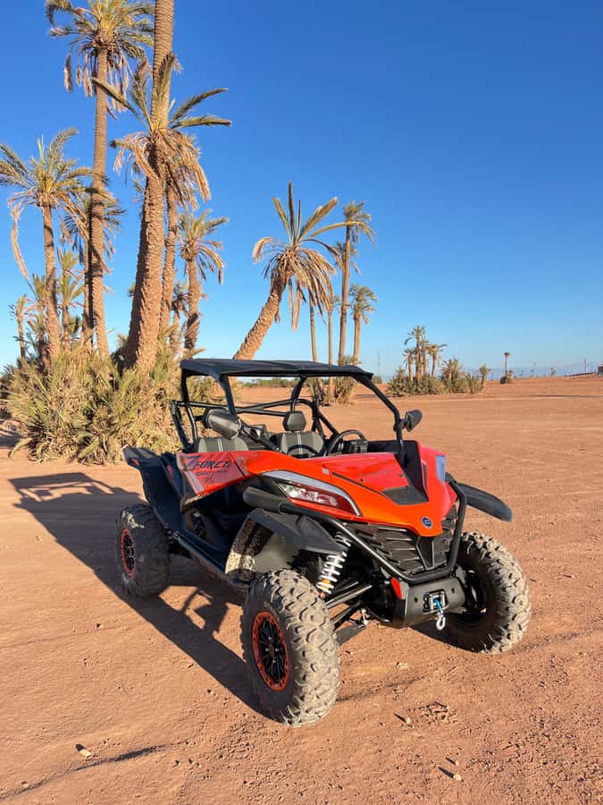 Marrakech : Palm Grove and jbilat Desert Buggy 1000cc Tour - The Group Size Factor: Max 6 Makes It Feel Manageable