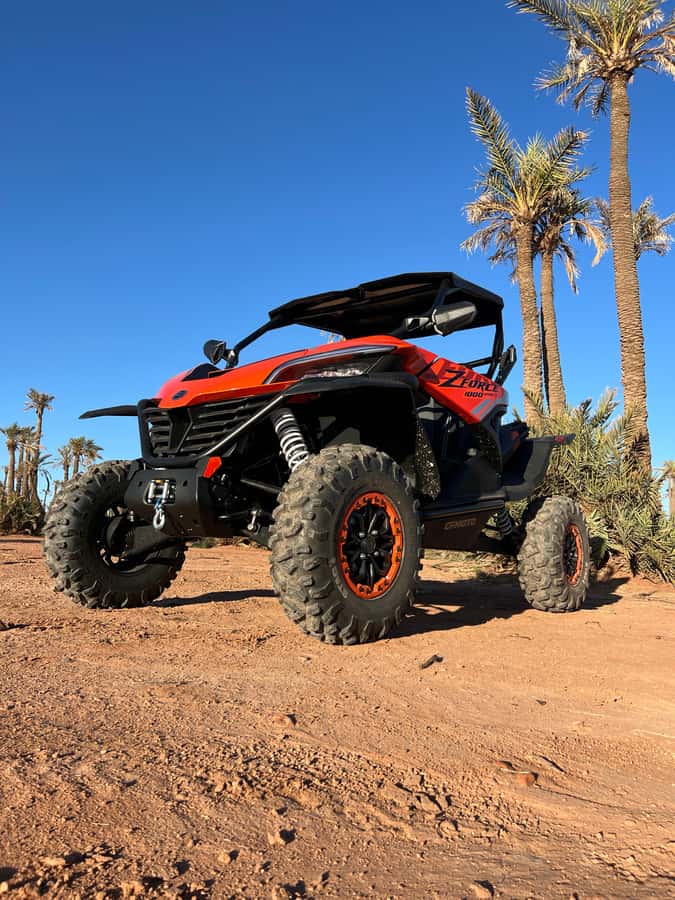 Marrakech : Palm Grove and jbilat Desert Buggy 1000cc Tour - 1000cc Adventure: What “Exciting” Usually Means in Real Life