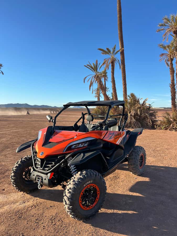 Marrakech : Palm Grove and jbilat Desert Buggy 1000cc Tour - Price and Value: Why $79 Can Make Sense for 3 Hours