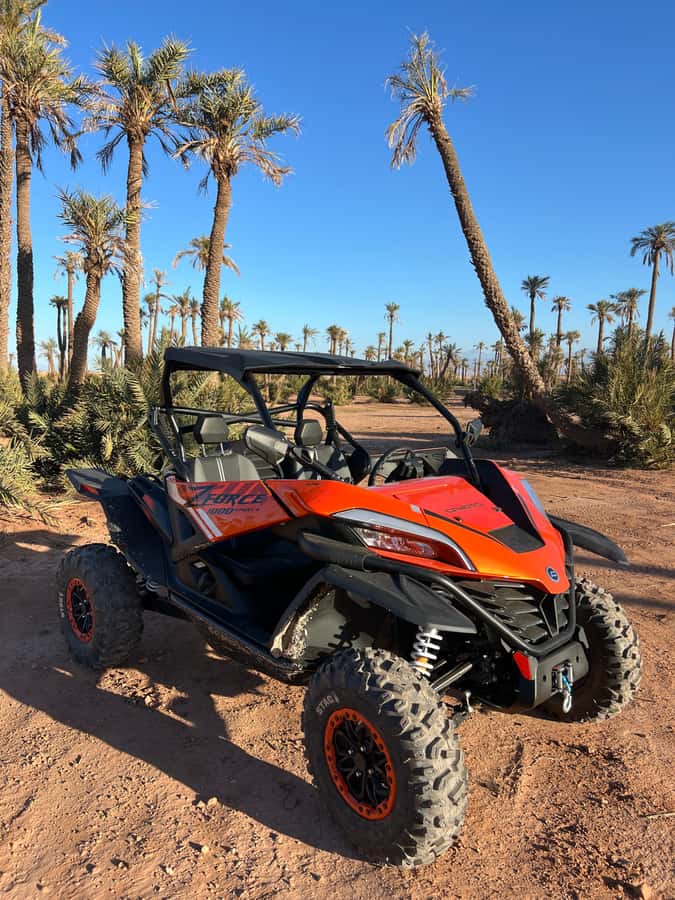 Marrakech : Palm Grove and jbilat Desert Buggy 1000cc Tour - Meeting Point and Pickup: KFC Jamaa el Fna or Your Riad