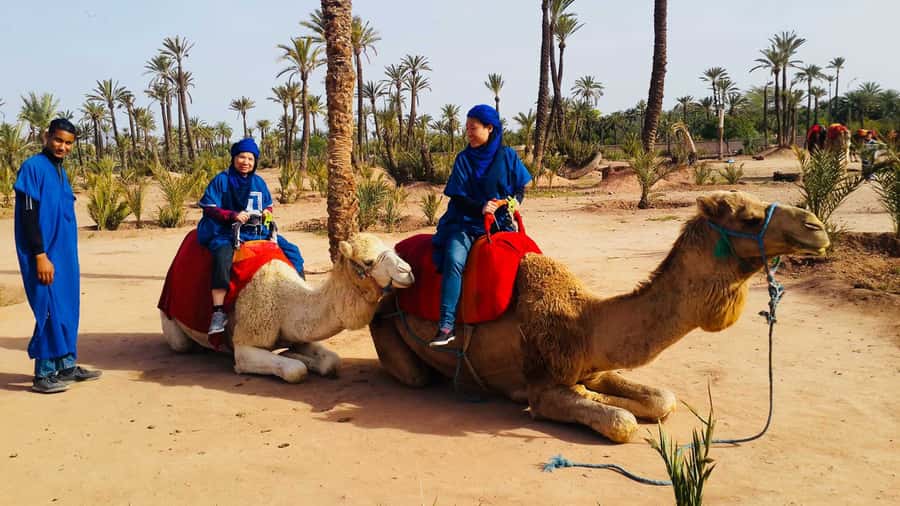 Marrakech Palmeraie: Camel Ride & Quad Bike Experience - Key things I’d highlight before you go
