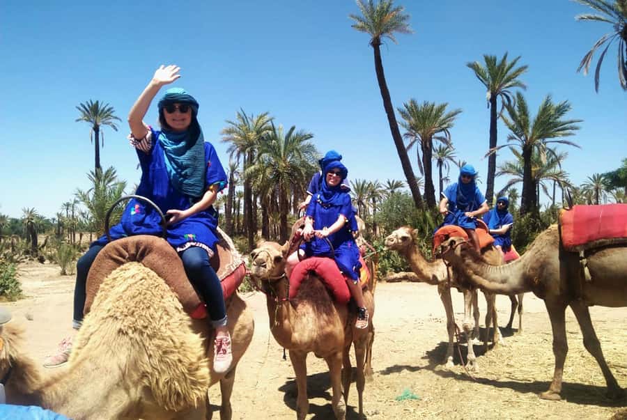 Marrakech Palmeraie: Camel Ride & Quad Bike Experience - Marrakech Palmeraie Camel Ride and Quad Bike: What This Day Actually Feels Like