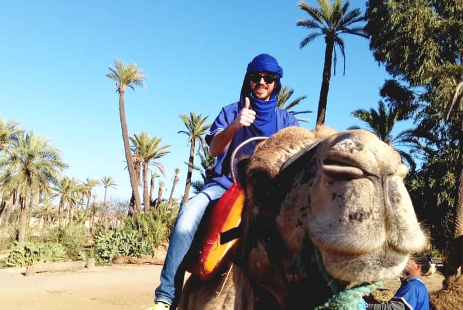 Marrakech Palmeraie: Camel Ride & Quad Bike Experience - The Moroccan Mint Tea Break: A Pause Worth Slowing Down For