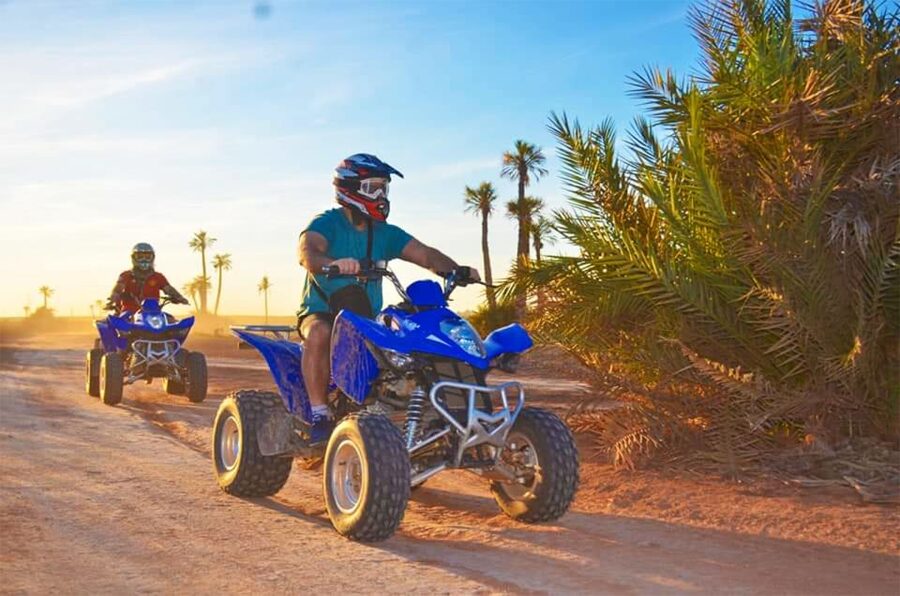 Marrakech Palmeraie: Camel Ride & Quad Bike Experience - Who This Tour Suits Best (And Who Should Skip It)