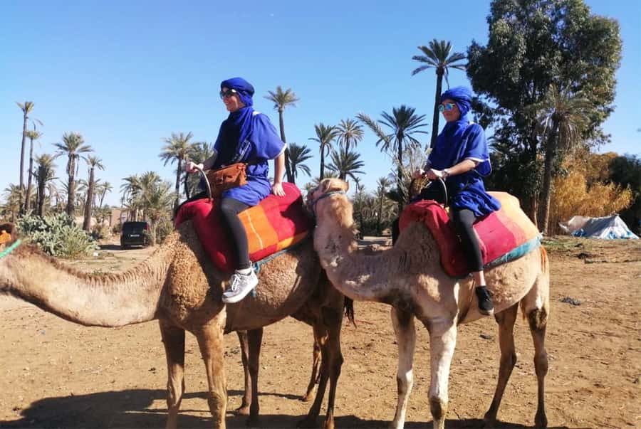 Marrakech Palmeraie: Camel Ride & Quad Bike Experience - Getting From Your Riads to the Oasis: Pickup and Timing Reality