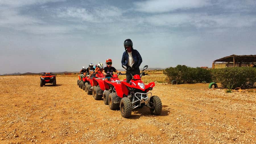 Marrakech: Palmeraie Guided Quad Biking Tour with Tea - Skill Level and Speed: First-Timers Start Easy