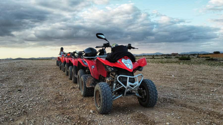 Marrakech: Palmeraie Guided Quad Biking Tour with Tea - The Ride Itself: Winding Tracks Through Palmeraie Views