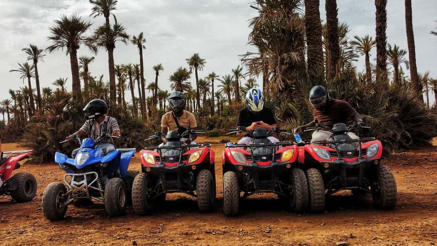 Marrakech: Palmeraie Guided Quad Biking Tour with Tea - Stop One: Palm Trees and Photo Moments