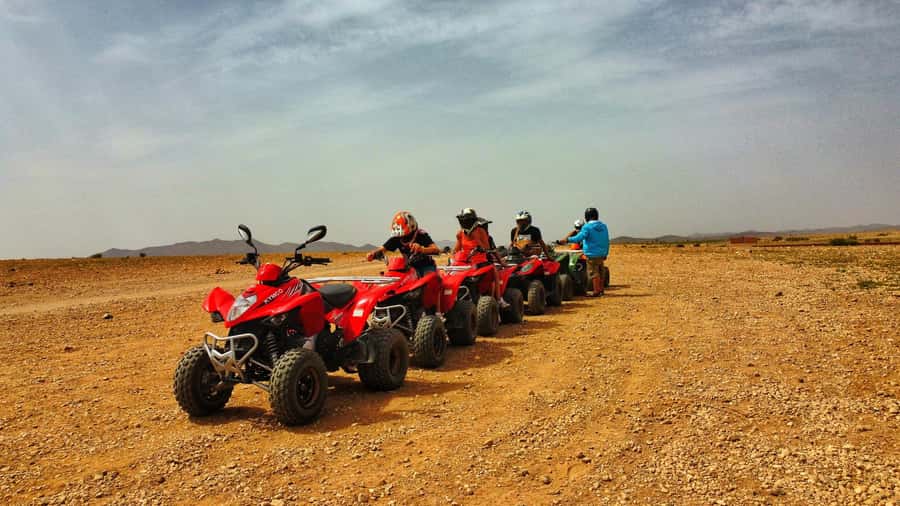 Marrakech: Palmeraie Guided Quad Biking Tour with Tea - Price and Value: Why Around $15 Can Feel Like a Steal