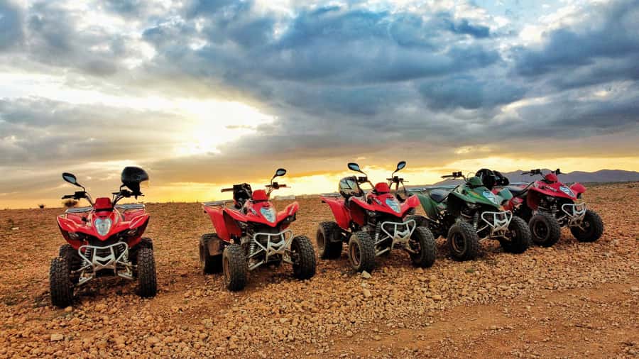Marrakech: Palmeraie Guided Quad Biking Tour with Tea - Gear, Helmets, and the Safety Briefing (No Guesswork)