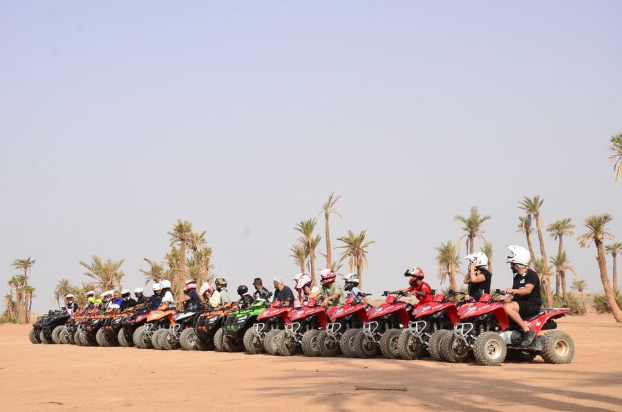 Marrakech: Palmeraie Guided Quad Tour with Tea Break - Transfers, Timing, and What 3 Hours Really Means for Your Day