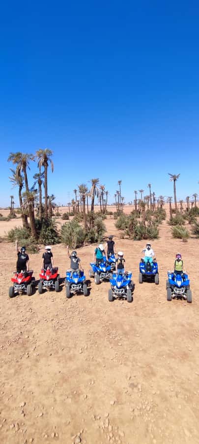Marrakech: Palmeraie Private Quad Bike Experience - How private feels in real life: small groups and attentive guides