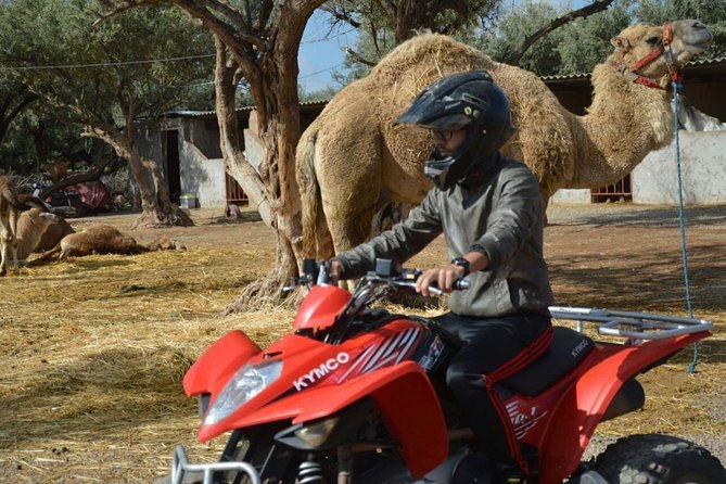 Marrakech Palmeraie Quad Bike Desert Adventure - Pickup, timing, and how the 3-hour flow is set up
